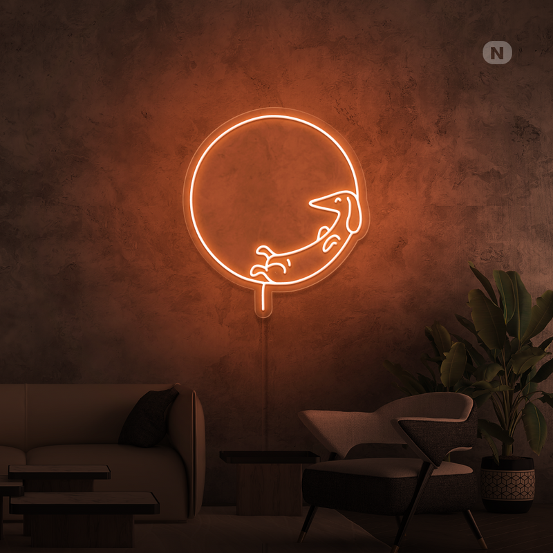 Sinal de néon Cão adormecido