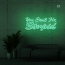 Sinal de néon you can't fix stupid