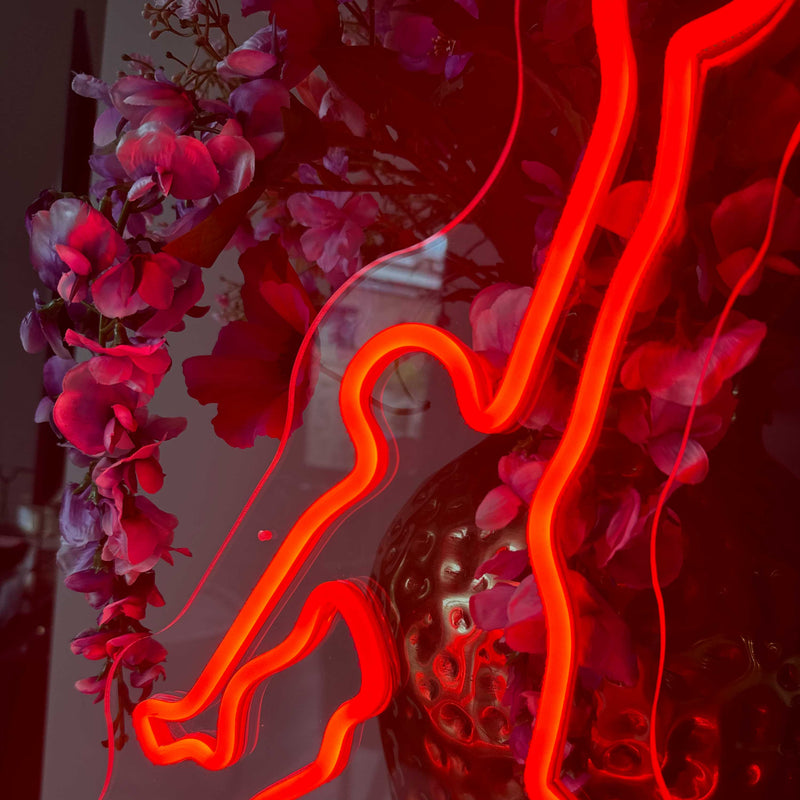 Sinal de néon Jordan