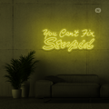 Sinal de néon you can't fix stupid