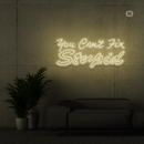 Sinal de néon you can't fix stupid