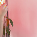 Sinal de néon Relaxar